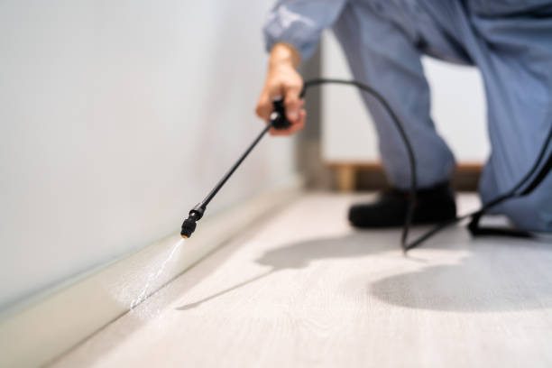 Bed Bug Pre-Treatment Preparation Assessment in Piney Green