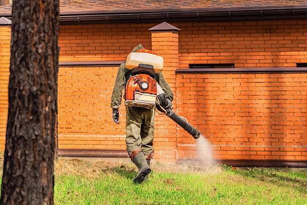Bed Bug Clearance Verification and Documentation in Piney Green